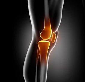 Posterior Cruciate Ligament Tear & Reconstruction